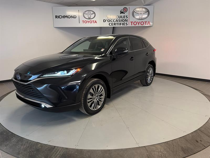 toyota VENZA HYBRID 2024 - 2