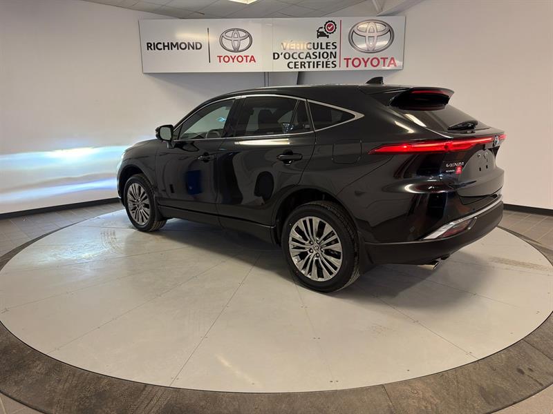 toyota VENZA HYBRID 2024 - 5