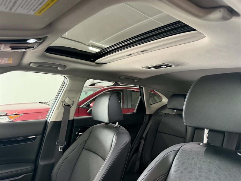 kia Seltos 2024 - 11