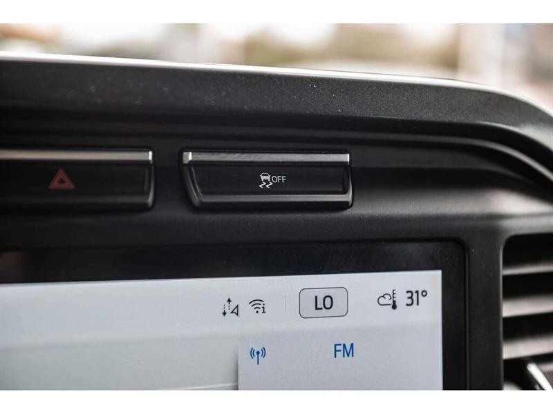 ford F-150 2023 - 28