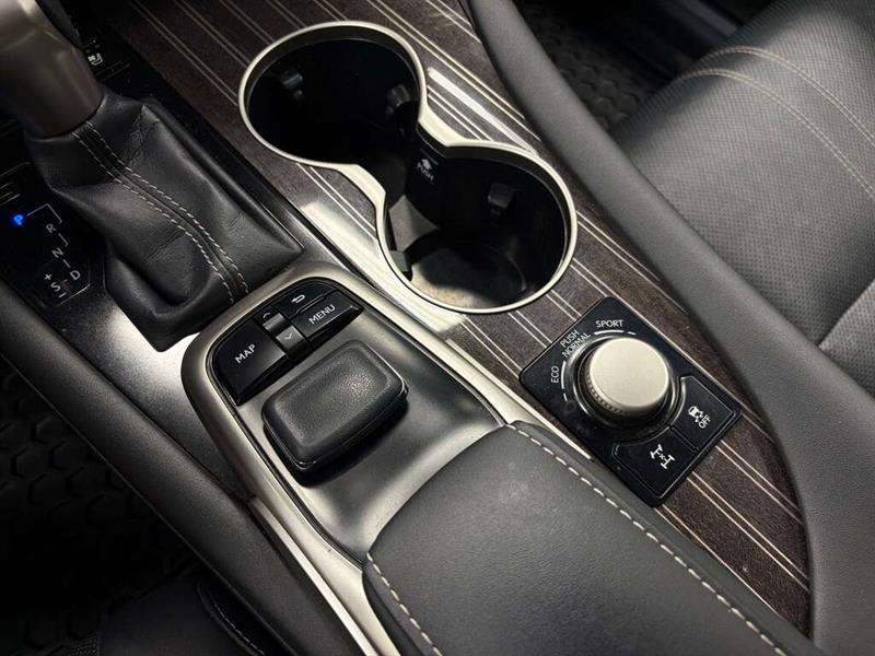 lexus RX 350 2016 - 29