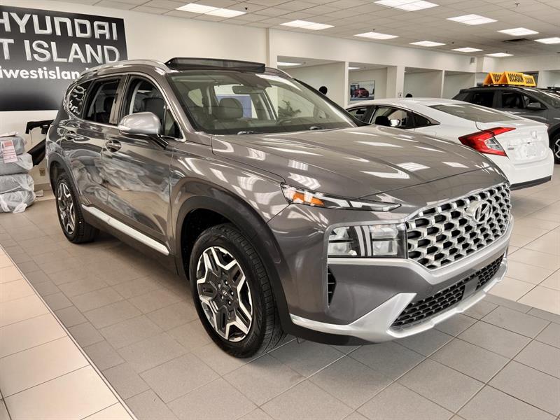 hyundai Santa Fe Hybrid 2021