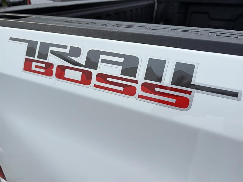 chevrolet Silverado 1500 2024 - 14