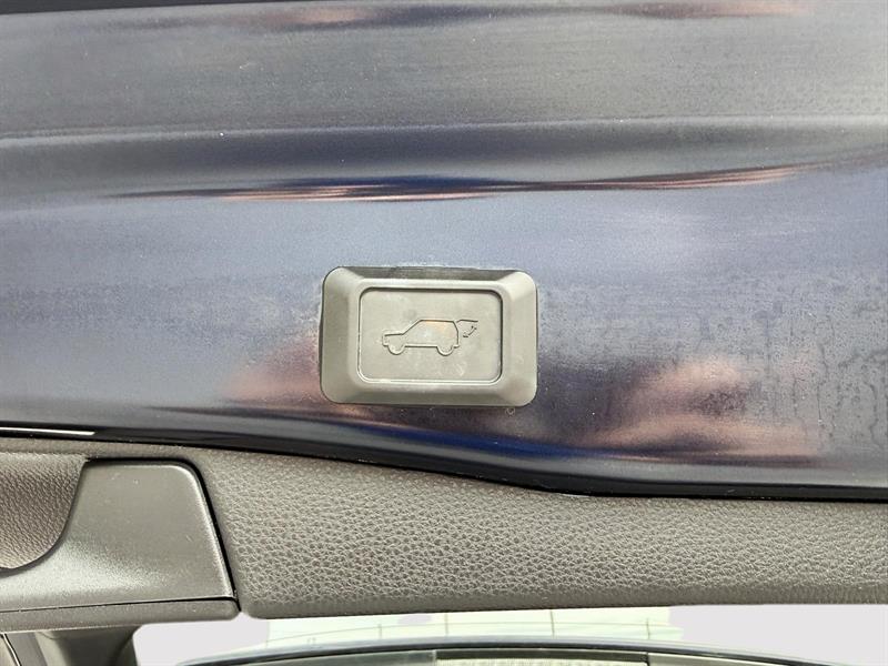 toyota RAV4 Hybrid 2023 - 19
