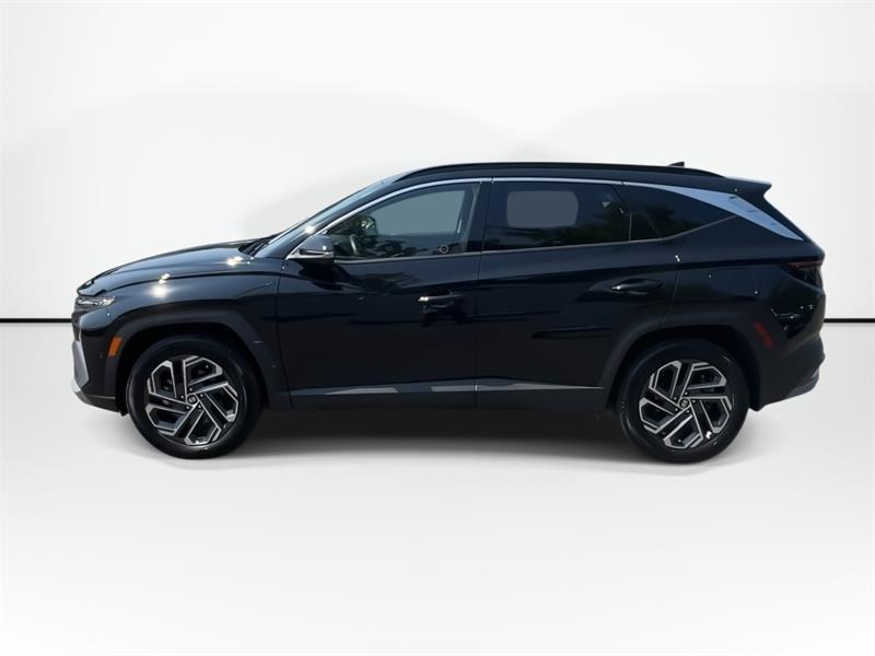 hyundai Tucson Hybrid 2025 - 5