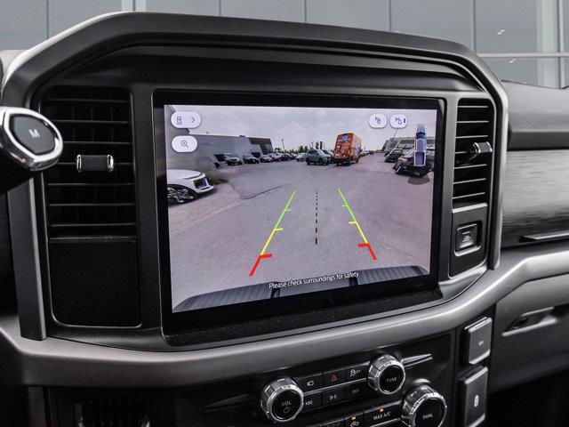 ford F-150 2025 - 14
