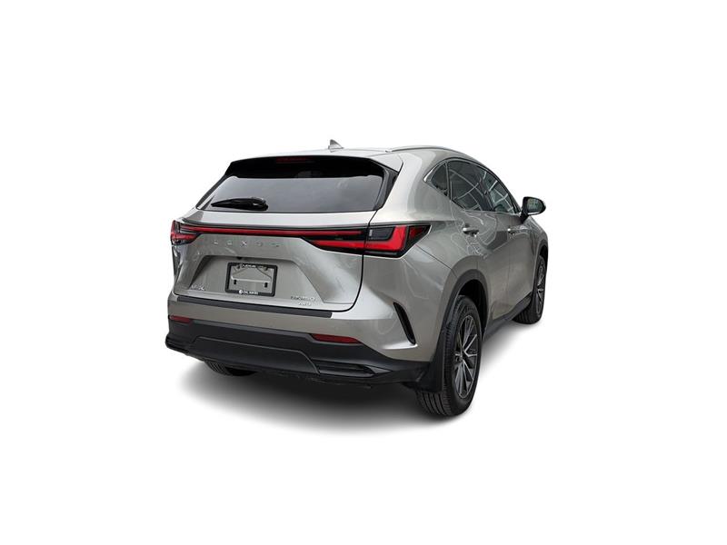 lexus NX 2023 - 13