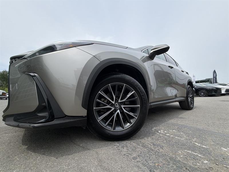 lexus NX 2023 - 18