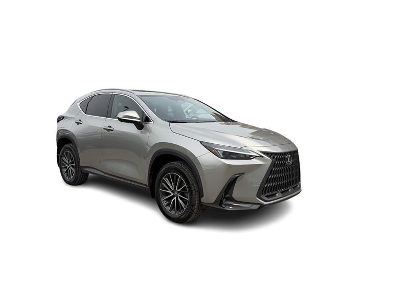 lexus NX 2022 - 2
