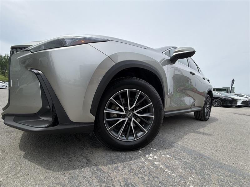 lexus NX 2022 - 18