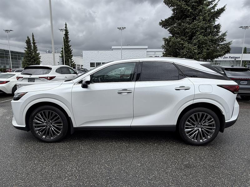 lexus RX 2024 - 2