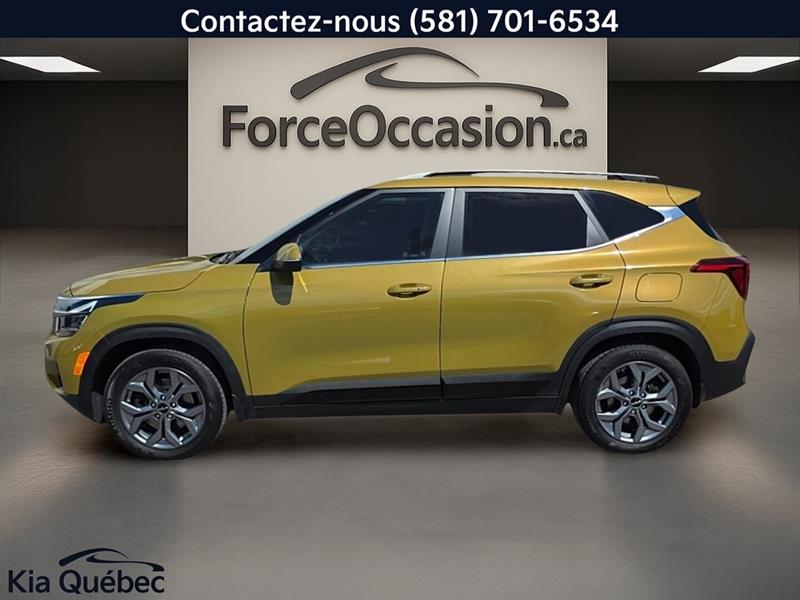 kia Seltos 2024 - 3
