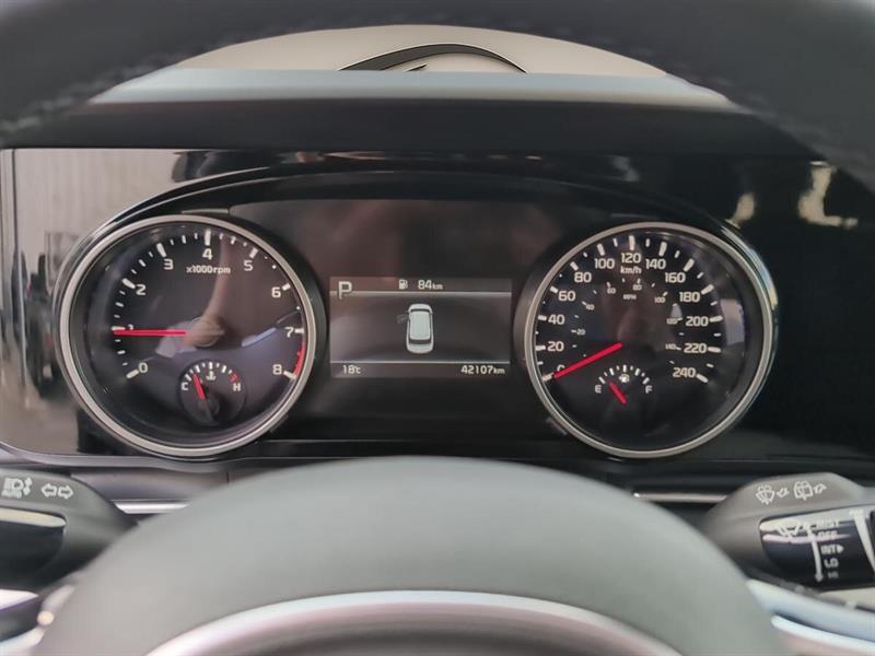 kia Carnival 2024 - 14