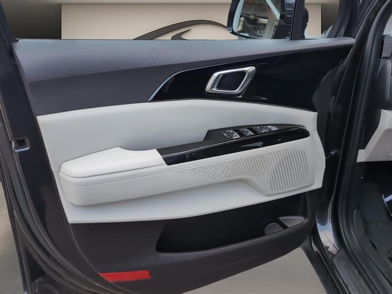 kia Carnival 2024 - 22