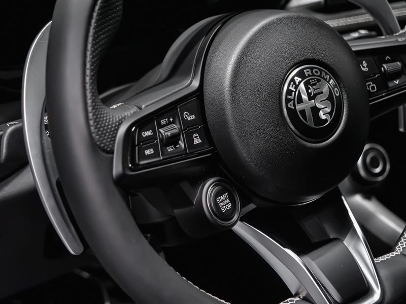 alfa romeo Tonale 2026 - 14