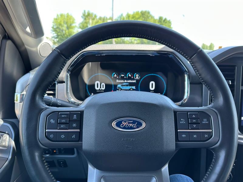 ford F-150 2021 - 3