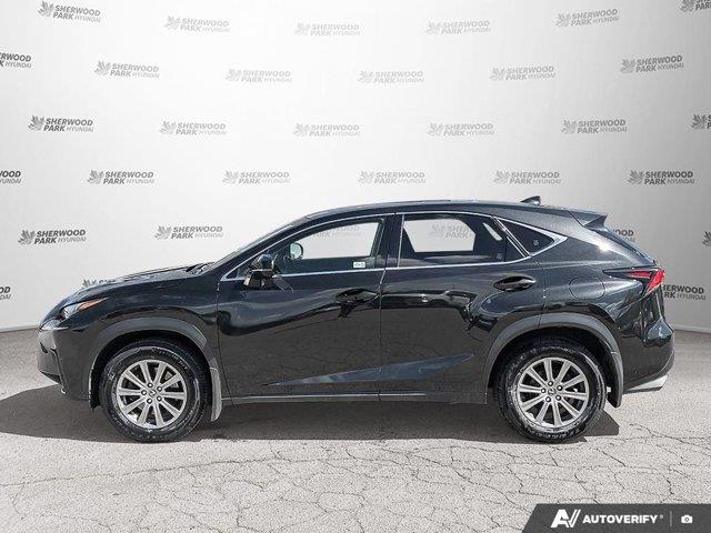 lexus NX 2019 - 2