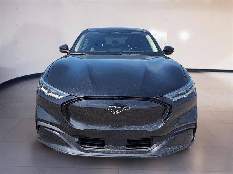 ford Mustang Mach-E 2023 - 8