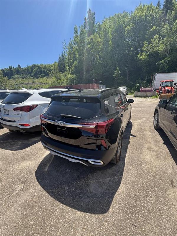 kia Seltos 2022 - 5