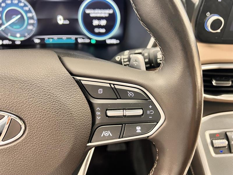 hyundai Santa Fe Plug-In Hybrid 2022 - 31