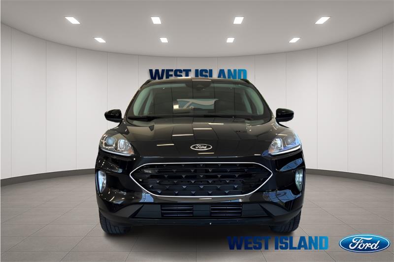 ford Escape 2021 - 2