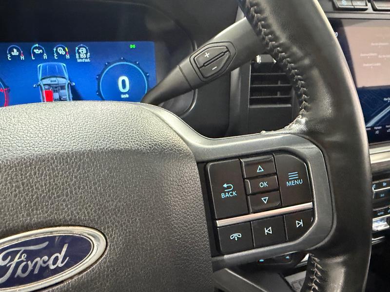 ford F-250 2024 - 19