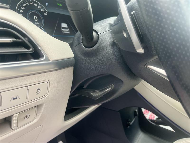 hyundai Palisade 2021 - 19