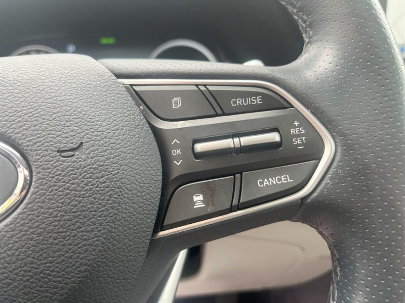 hyundai Palisade 2021 - 21