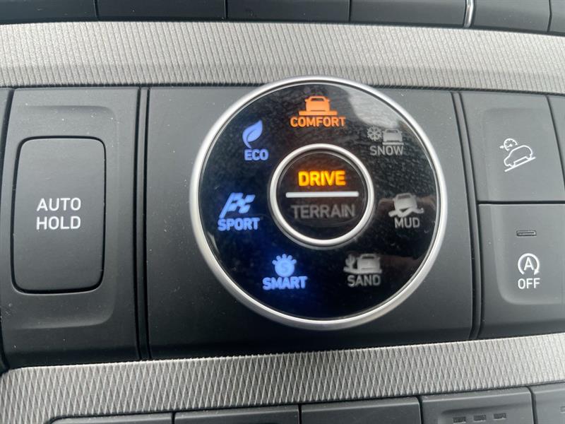 hyundai Palisade 2021 - 31