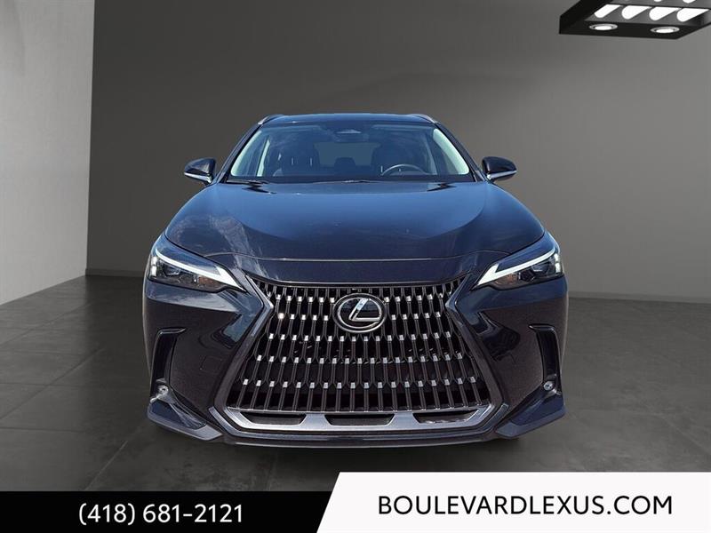 lexus NX 2024 - 2