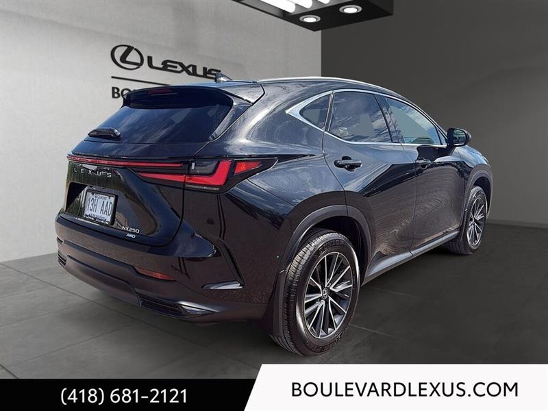 lexus NX 2024 - 4