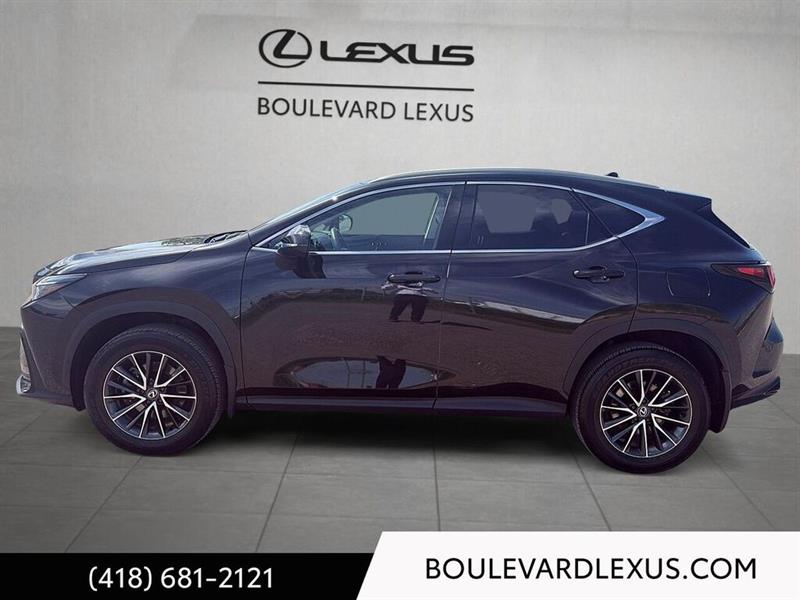lexus NX 2024 - 6