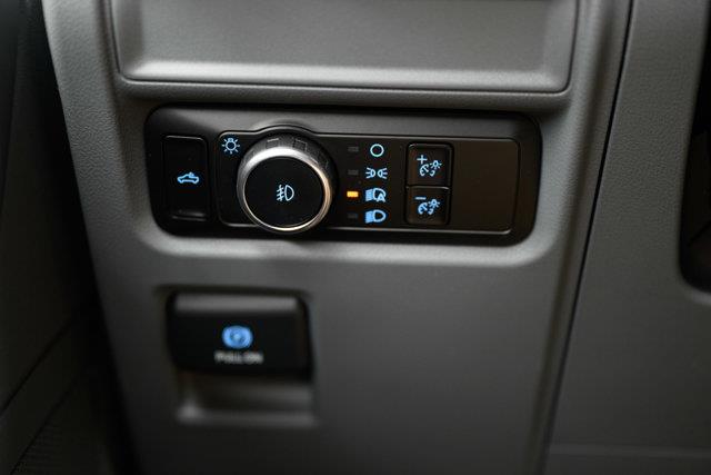ford F-150 2024 - 19