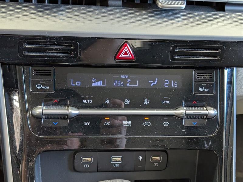 kia Carnival 2023 - 11