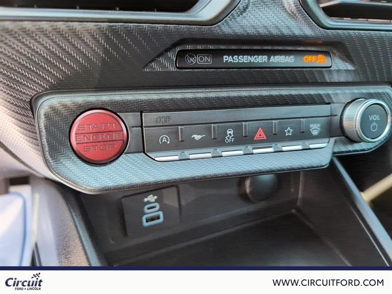 ford Mustang 2024 - 14
