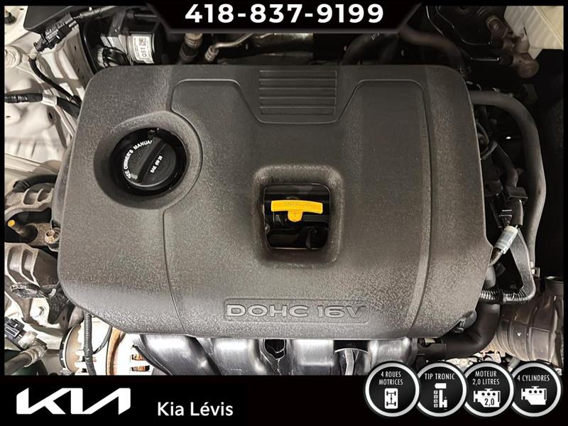 kia Seltos 2024 - 15