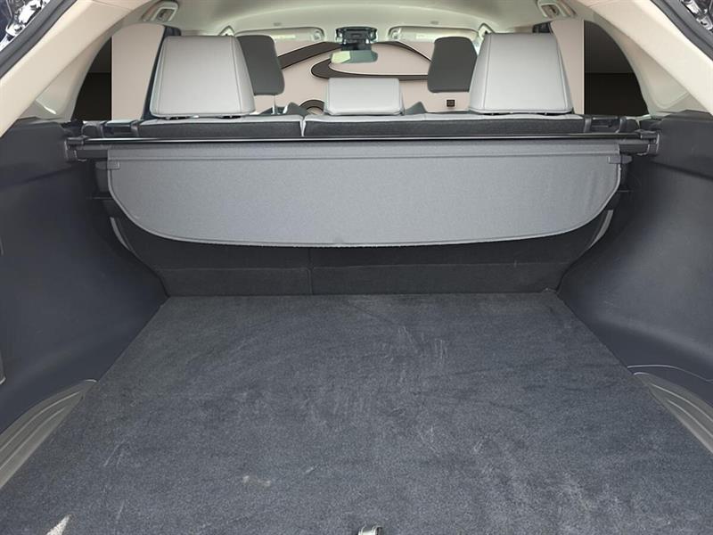 toyota Venza 2023 - 6