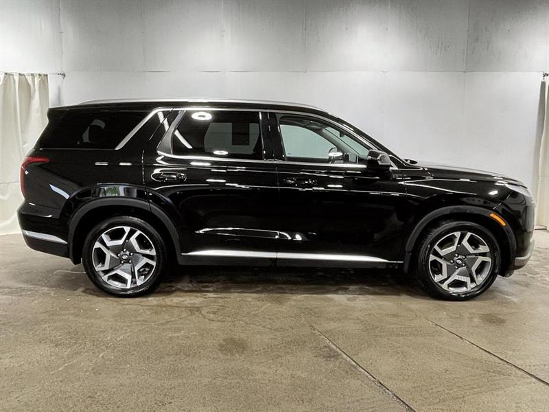 hyundai Palisade 2024 - 2
