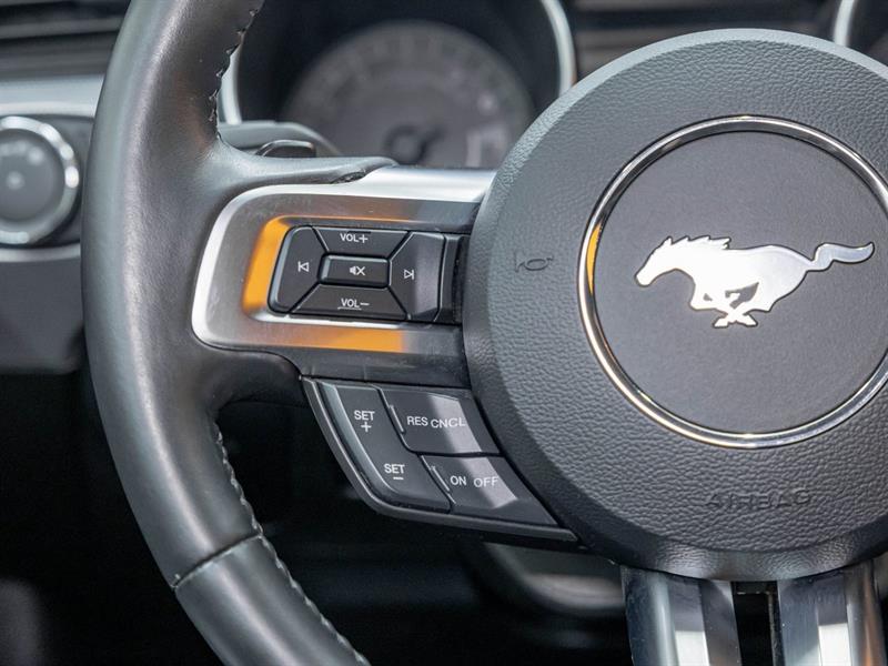 ford Mustang 2019 - 14