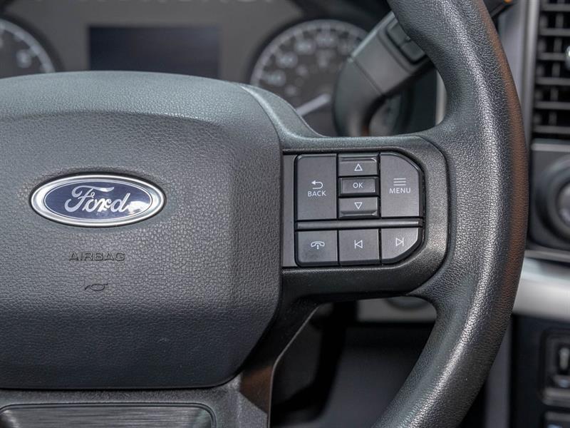 ford F-150 2023 - 15