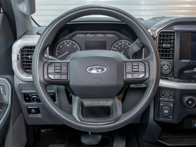 ford F-150 2023 - 12