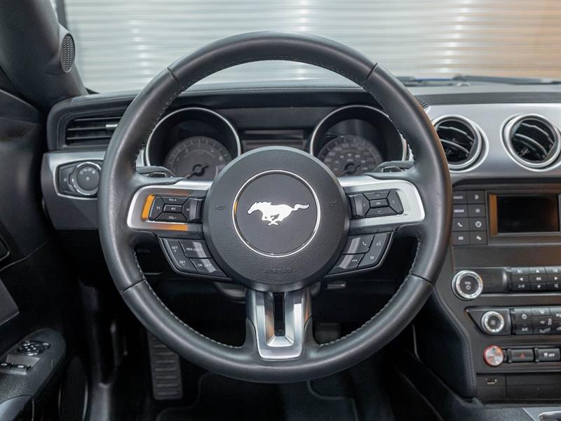 ford Mustang 2019 - 12