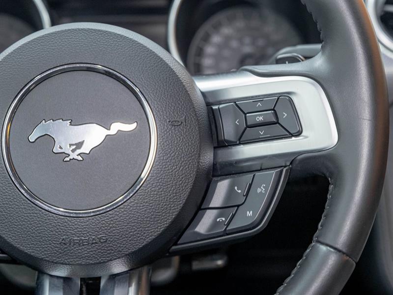 ford Mustang 2019 - 15