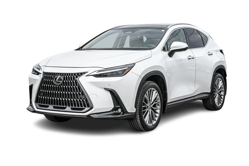 lexus NX 2022