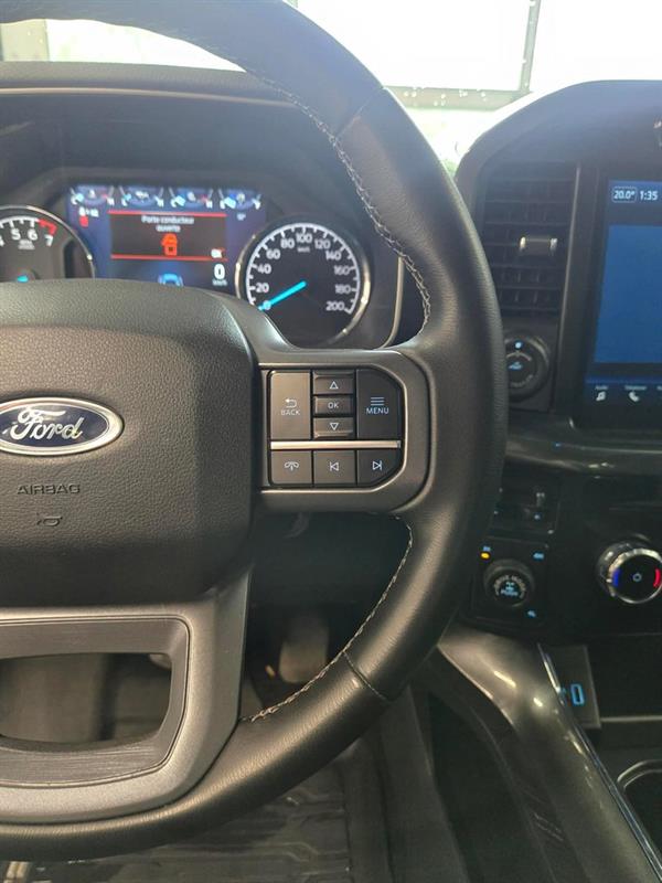 ford F-150 2023 - 14