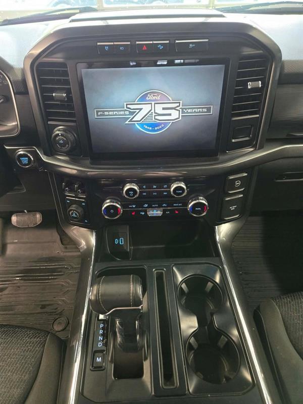 ford F-150 2023 - 15