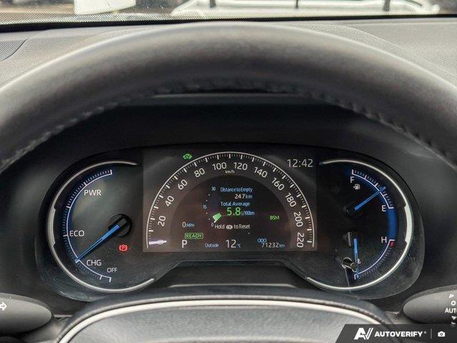 toyota RAV4 2021 - 17