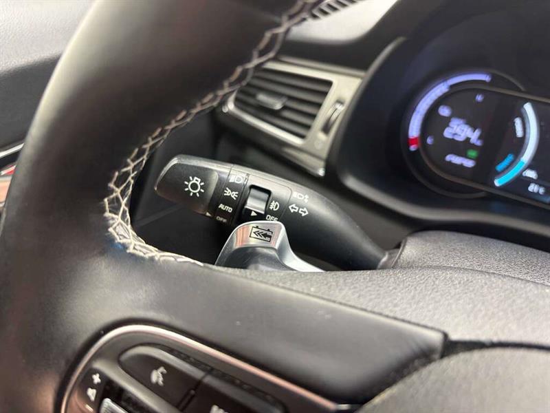 kia Niro EV 2019 - 21