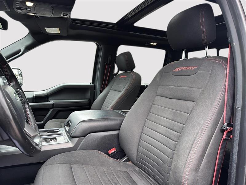ford F-150 2019 - 14