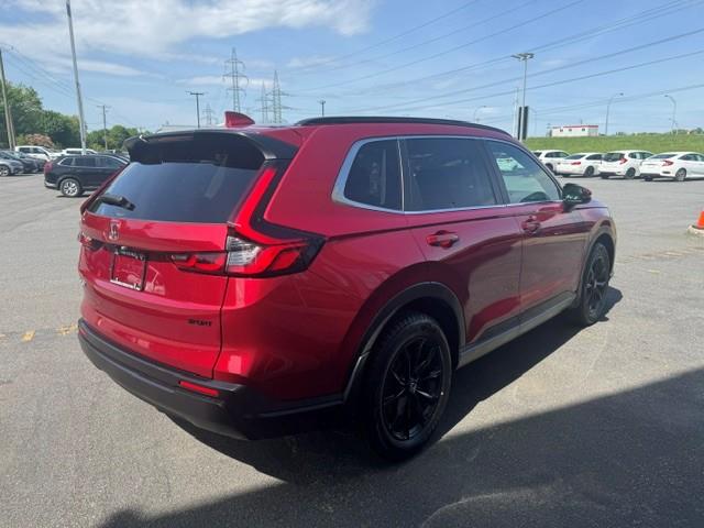 honda CR-V 2025 - 5